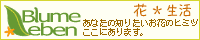 Blumeleben〜花*生活 花と暮らしの情報館
