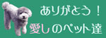 ありがとう！愛しのペット達