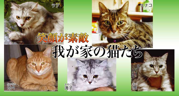 猫☆笑顔が素敵☆我が家の猫たち